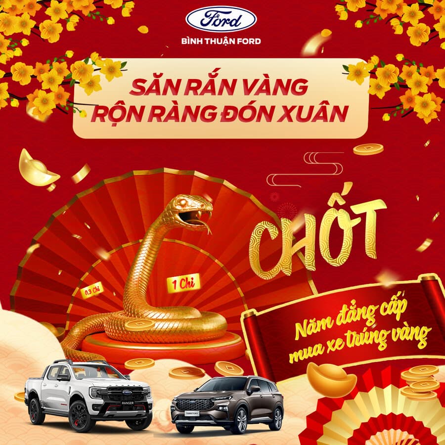 Car & Services Design 2D image 2